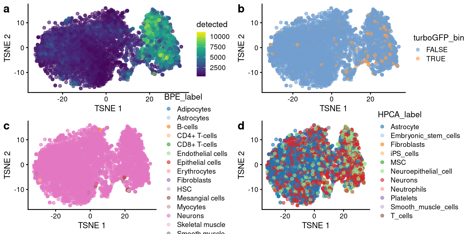 tSNE plots after size factor normalization and denoising, with cells colored by (a) cell annotations using the Human Primary Cell Atlas Data as a reference and (b) cell annotations using the Blueprint Encode Data as a reference.