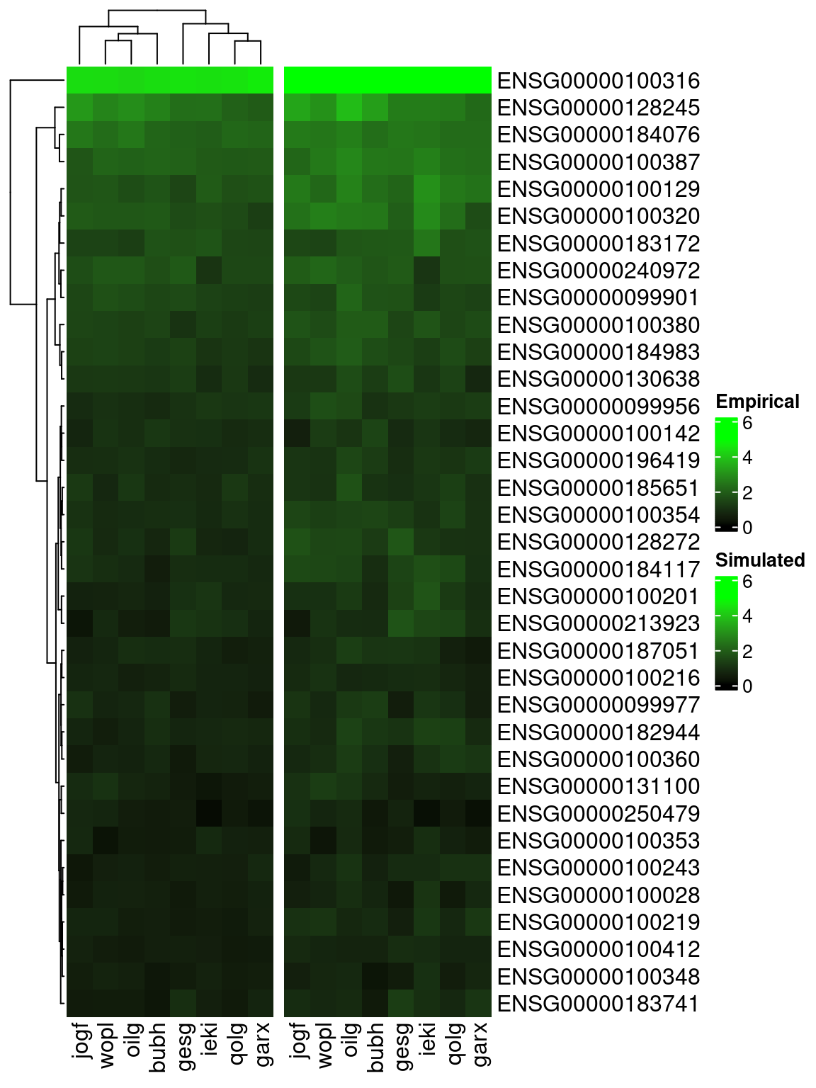 Pattern of mean aggregated logcount expression for top 35 most highly expressed genes (rows) across 8 individuals (columns), from (left) empirical data and (right) splatPop simulated data with individual-level properties replicated.