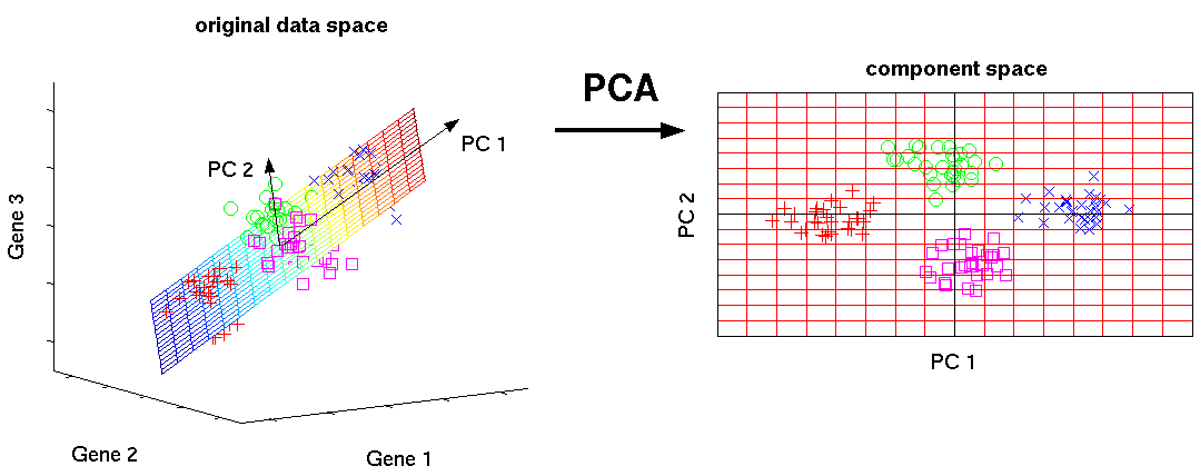 9 Latent Spaces Analysis Of Single Cell Rna Seq Data