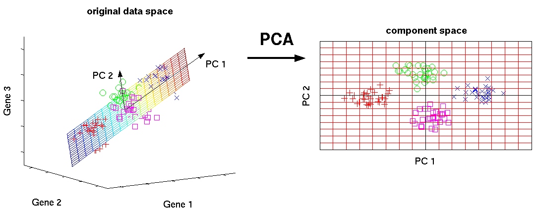 9 Latent Spaces Analysis Of Single Cell RNA seq Data