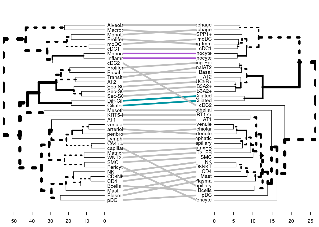 Cell type level eQTL: Pairwise sharing & global patterns