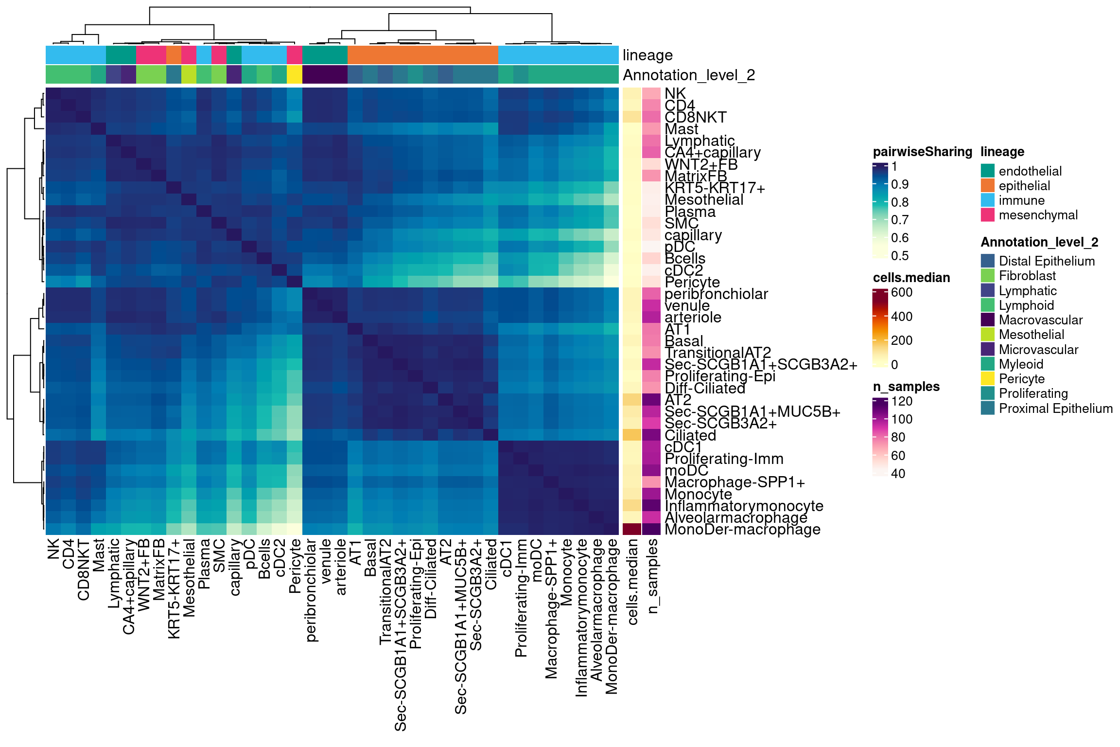 Cell type level eQTL: Pairwise sharing & global patterns